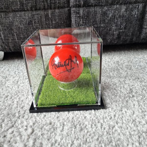 Steve Davis snooker ball