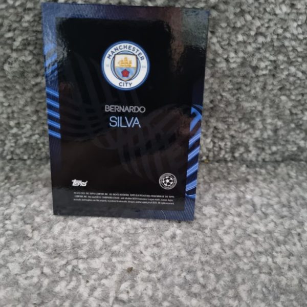 BERNARDO SILVA