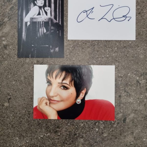 LIZA MINNELLI
